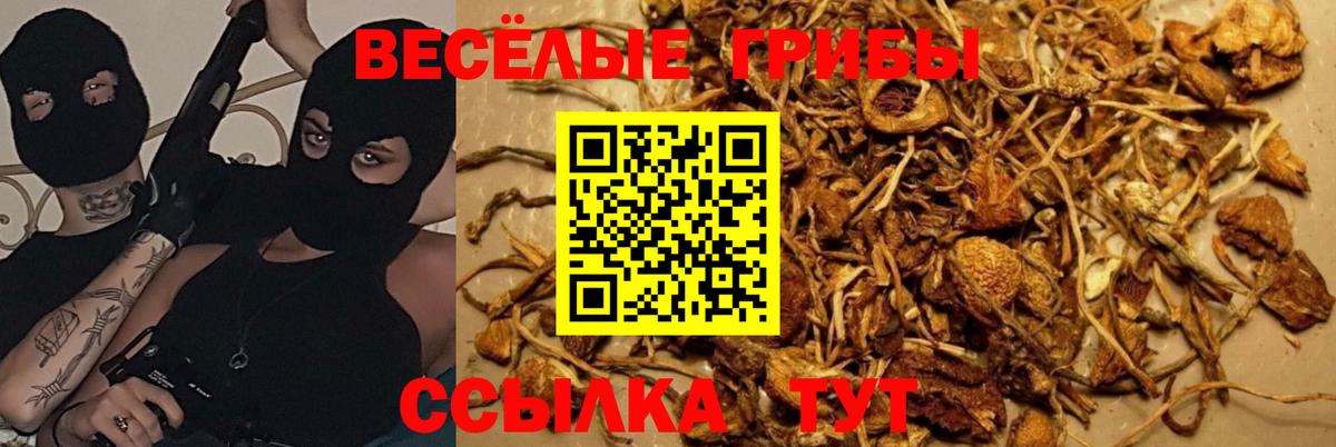 Кстово  Галлюциногенные грибы мицелий  Вход с VPN 