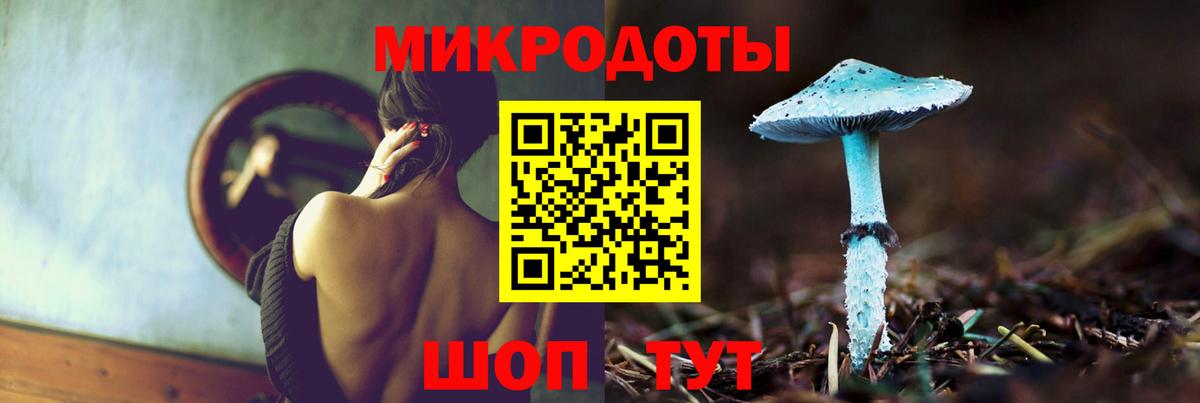 Псилоцибиновые грибы Psilocybine cubensis Кстово